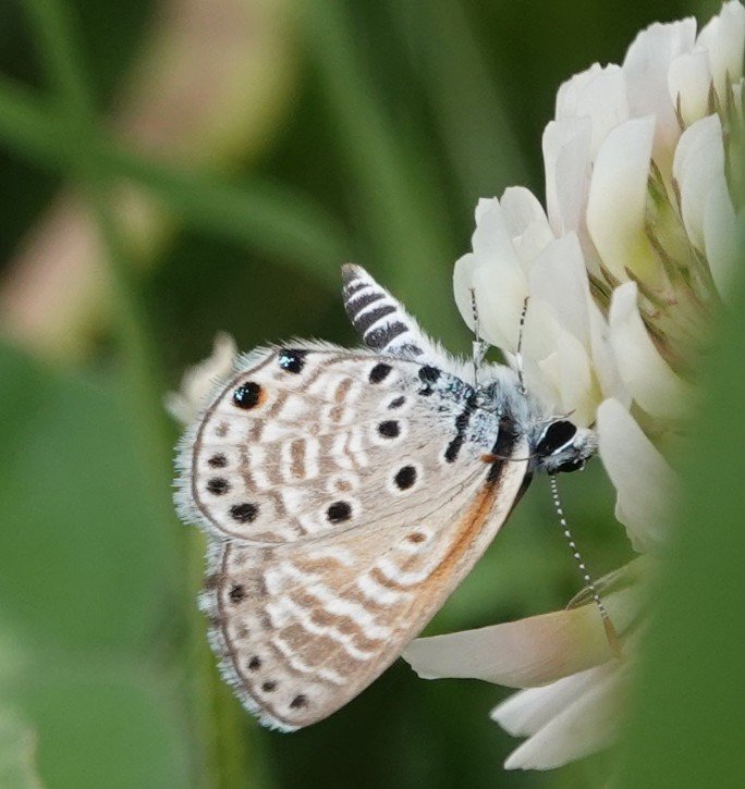 Martin Pitt tweet media