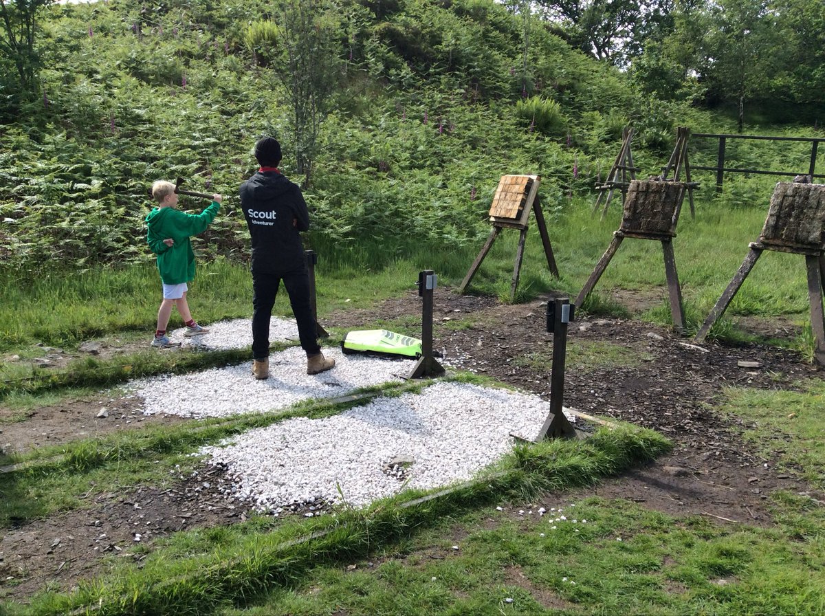 The Whartons Primary tweet media