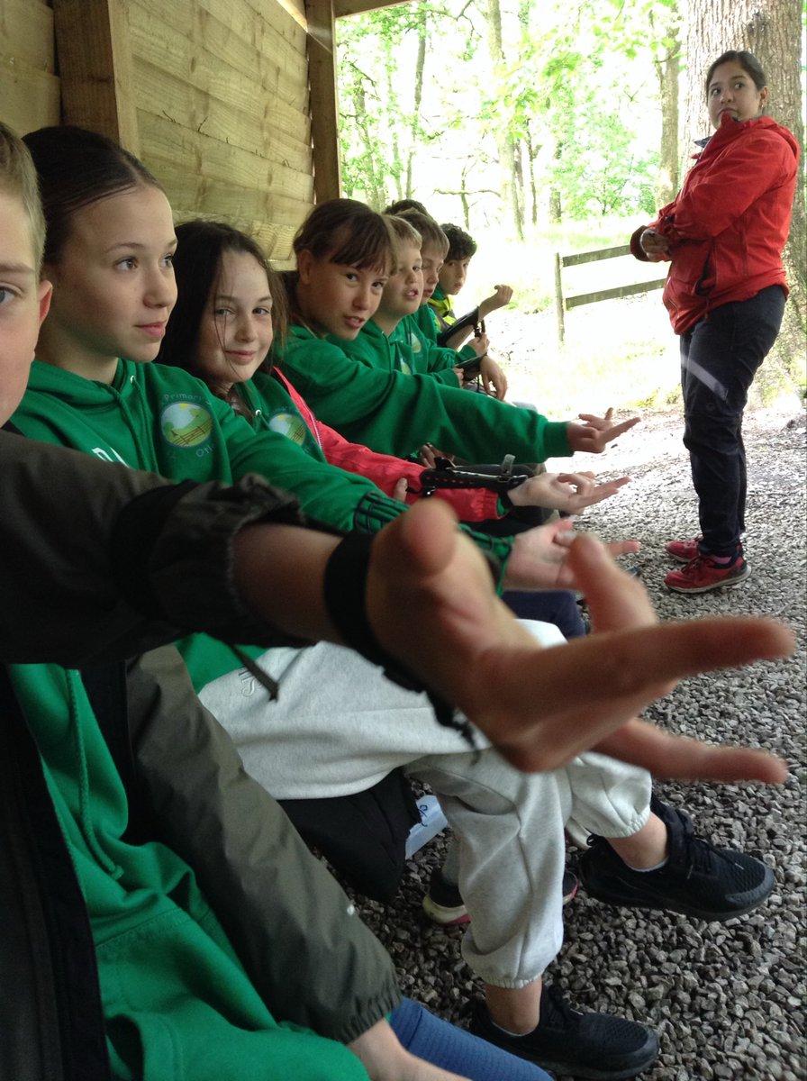 The Whartons Primary tweet media