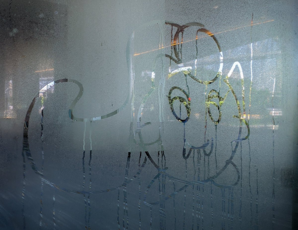 Players' confidence plunges as humidity rises here at the North America International Championships #PlayPokemon