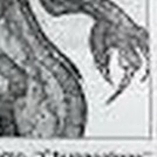 One Strange Thing Podcast tweet media