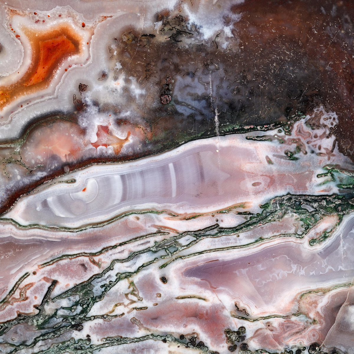 AgateScotland's tweet photo. Photos by the esteemed Chris Harlow of a 10cm Balmerino agate I collected in 2018 https://t.co/rTCecMUtsQ