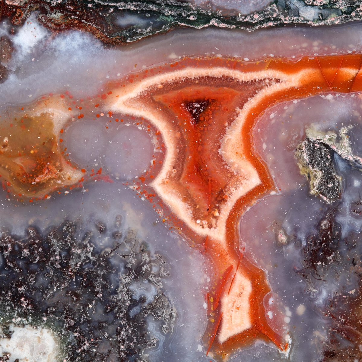 Photos by the esteemed Chris Harlow of a 10cm Balmerino agate I collected in 2018