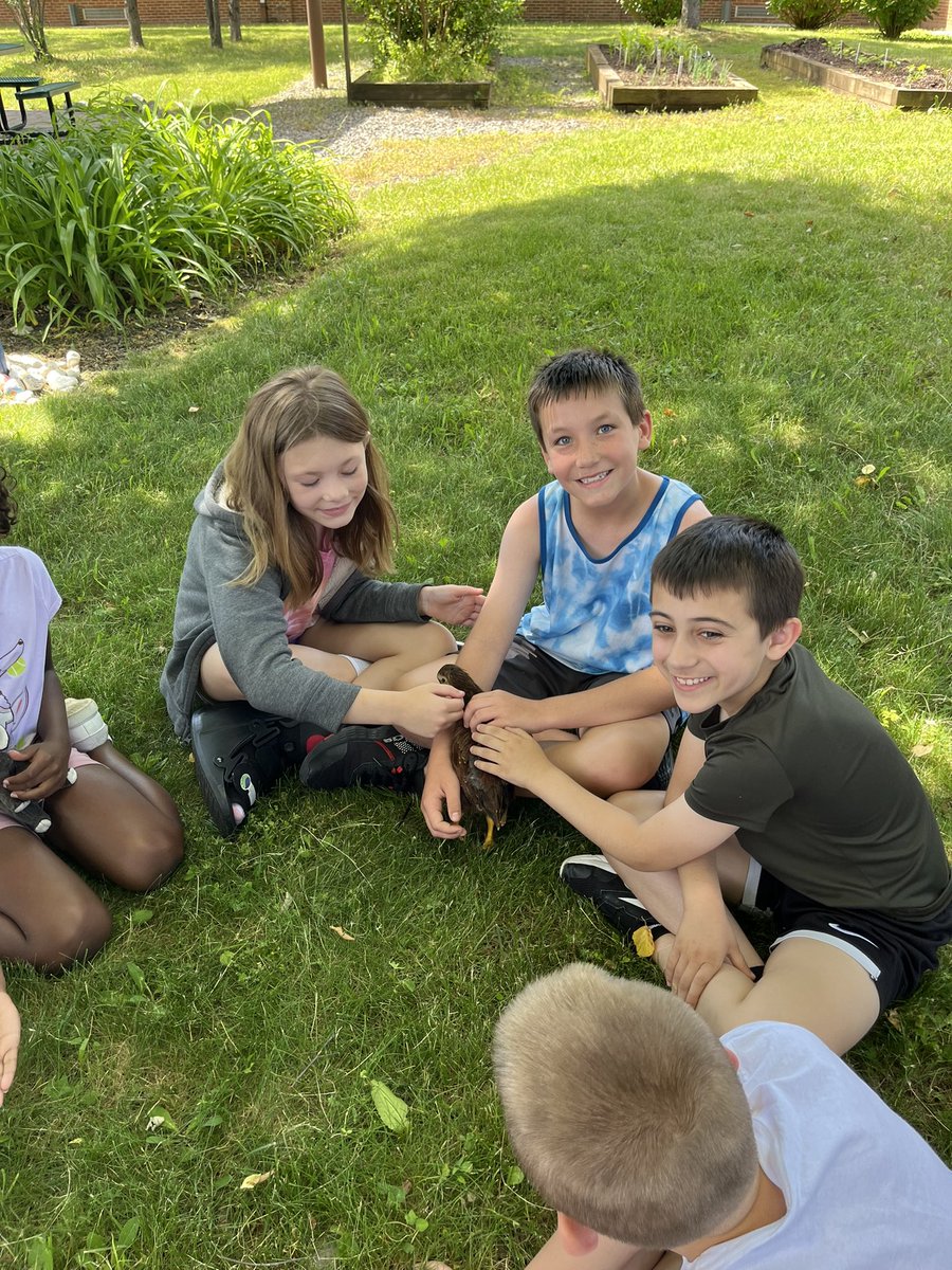 We got to visit our chickens in the court yard today ❤️🐥☀️