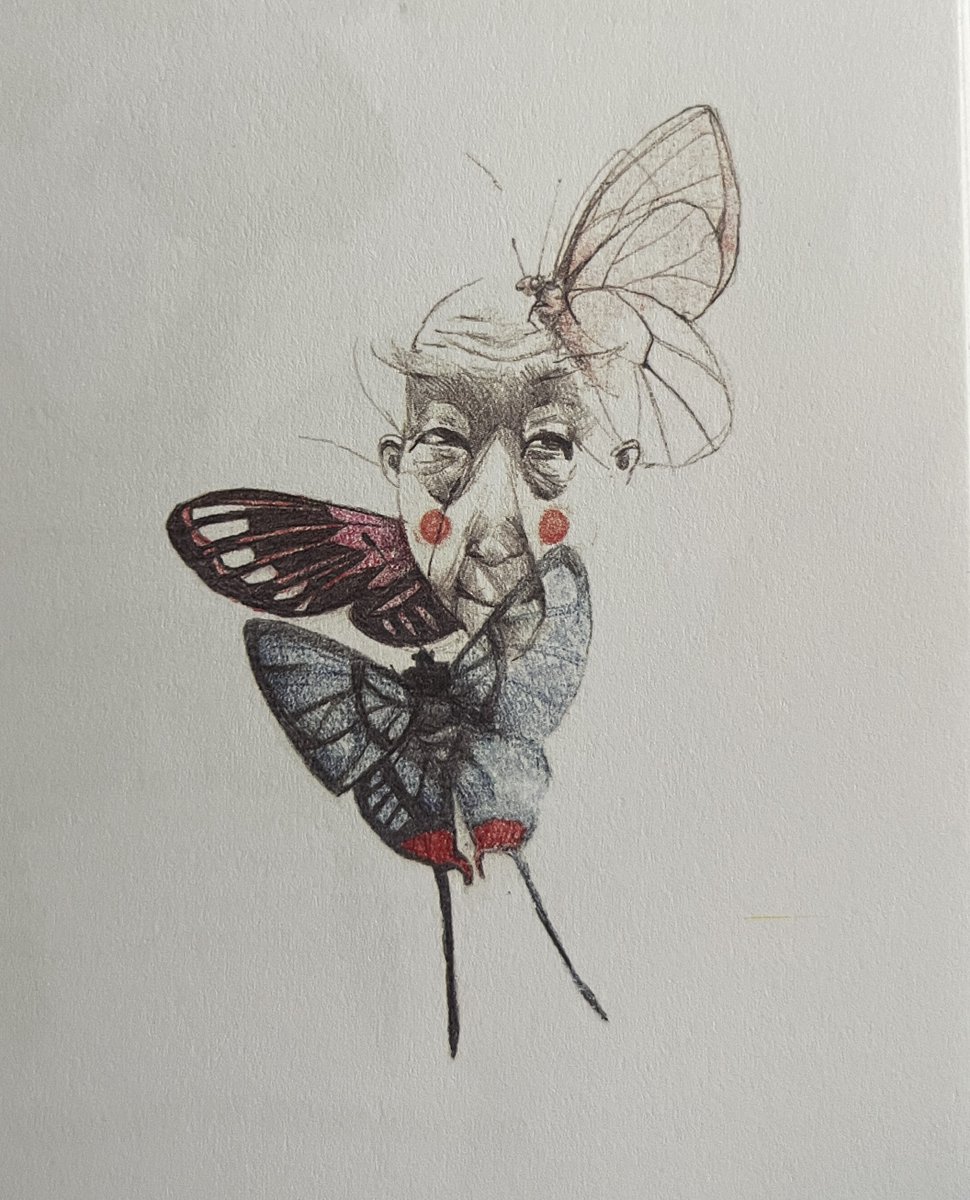 Hannah M. King (hmking-linguist.bsky.social) tweet media