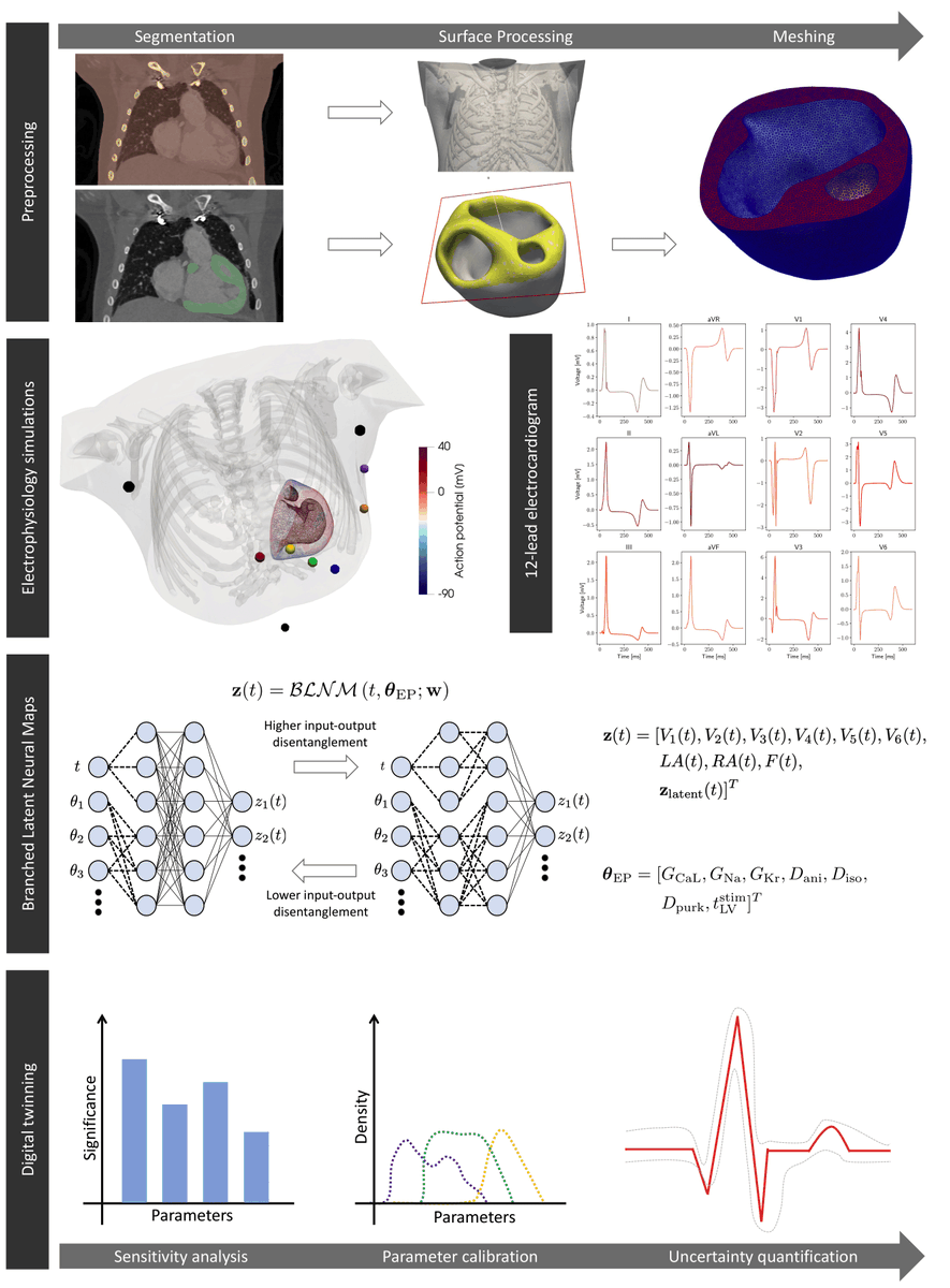 Our paper on #digital #twinning of #cardiac #electrophysiology for #congenital #heart #disease is out in the Journal of the #Royal #Society #Interface!

Paper: royalsocietypublishing.org/doi/10.1098/rs…
Code: github.com/StanfordCBCL/B…