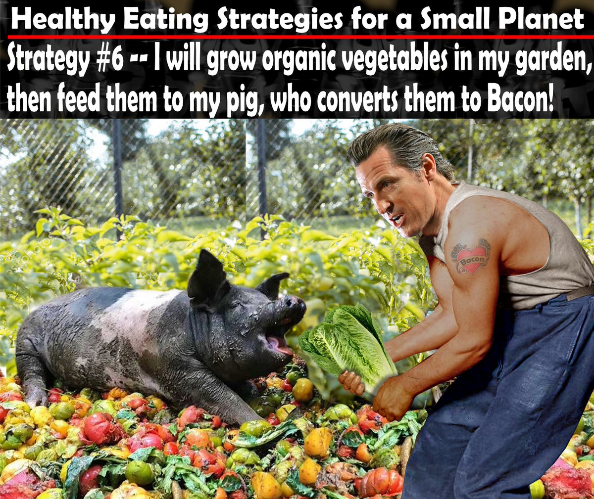 The Governor’s new California Council on Healthy Sustainable Eating Strategies has developed 10 strategies to make organic vegetables a delicious part of your everyday diet. Below he demonstrates the highly successful Strategy #6.