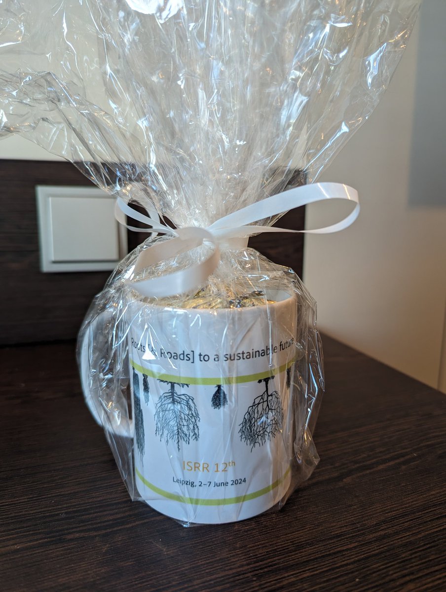 C_A_White's tweet photo. I've had a wonderful time at #ISRR12 connecting, learning and planning. I'm grateful for the opp. to share @Root2Res with the #rootresearch community & to chair a session. Today's plenary panel added discussion to an inprep paper and I'm super happy with my gift. #homewardbound https://t.co/sjs429jBWD