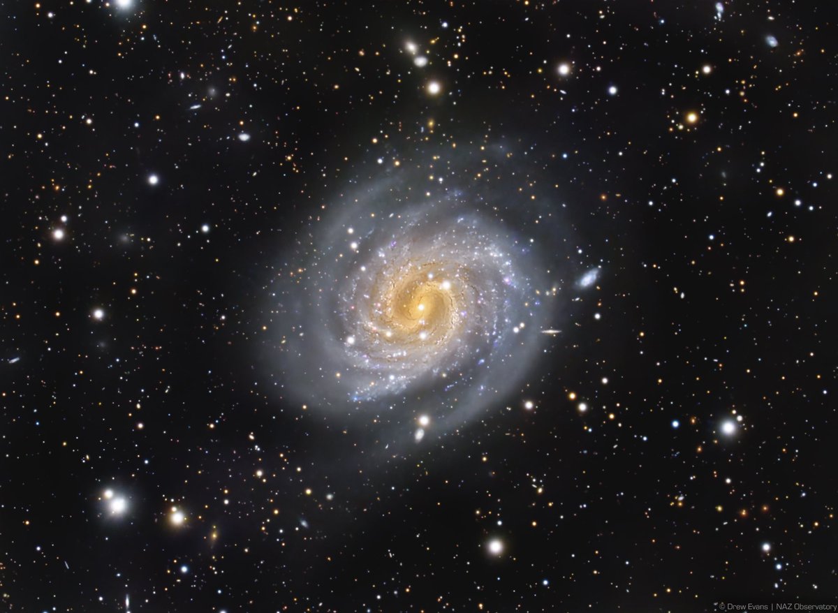 Lost and found!

Check out the colors in this beautiful shot of the "Lost Galaxy" from astrophotographer Drew Evans. The especially hazy appearance of NGC 4535 earned it the "lost" nickname. bit.ly/3yO2wmZ

What's your scope slewing to this weekend?