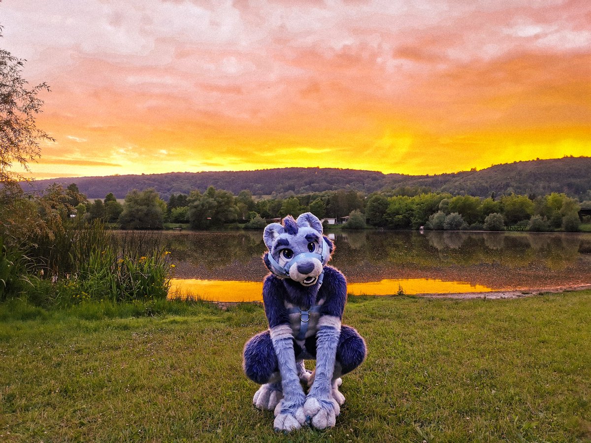 Die #Socom ist zwar seit bald 2 Wochen vorbei, aber die Erinnerungen an diese Zeit bleiben!
Wir hoffen, dass ihr euch alle von den langen Nächten gut erholt habt.
Heute am #FursuitFriday zeigen wir euch <a href="/KhatuLion/">Khatu ❄️</a> am See der Rabeninsel. 🌅🦁