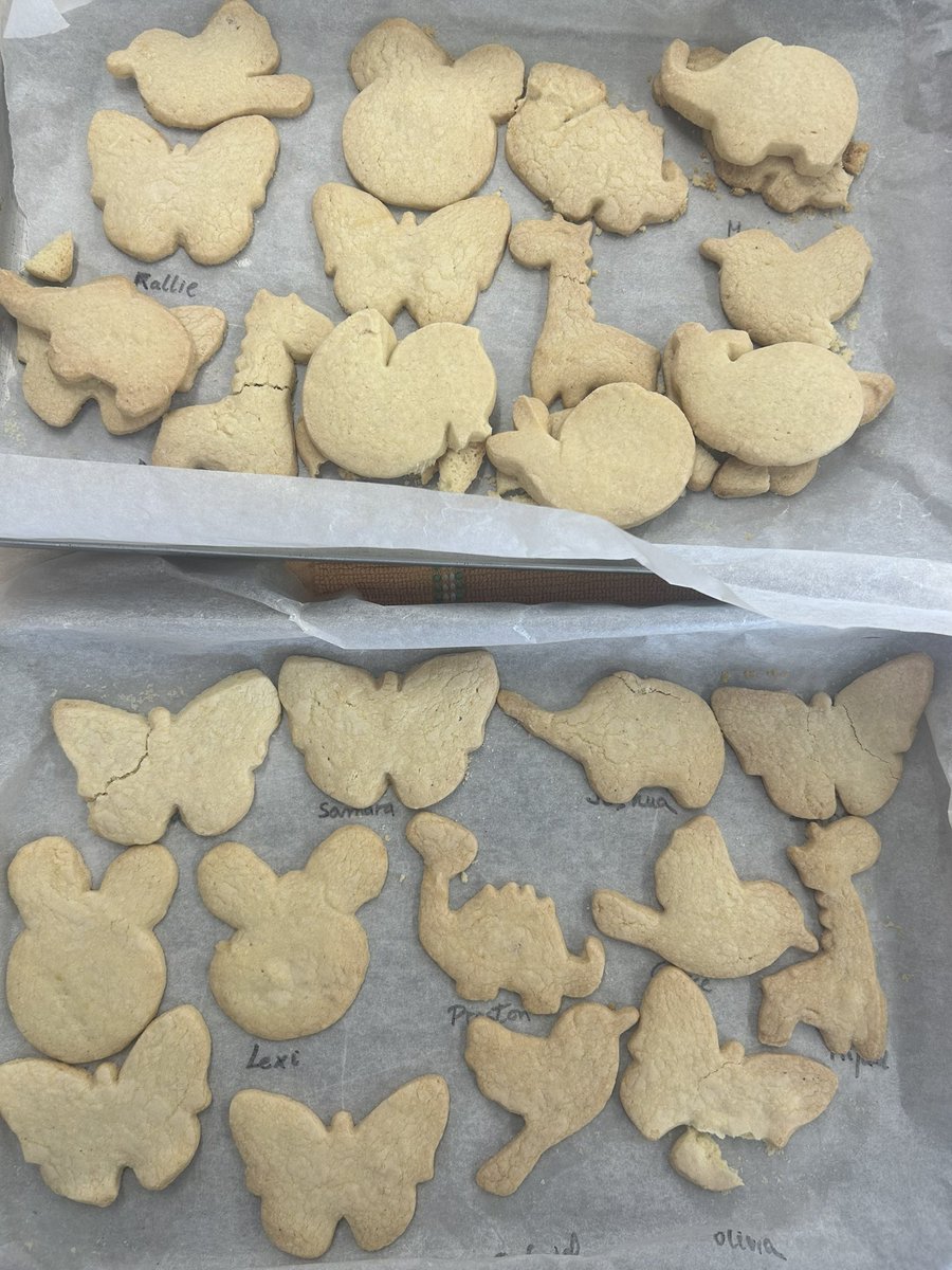 MrsBenedickSPS's tweet photo. As part of diversity and culture week, we read the story Noah’s Ark then made animal biscuits and acted out the story in our small world area. In assembly the children acted out the story of creation. We were so proud of our little performers. https://t.co/IJ8jHJ4LS6