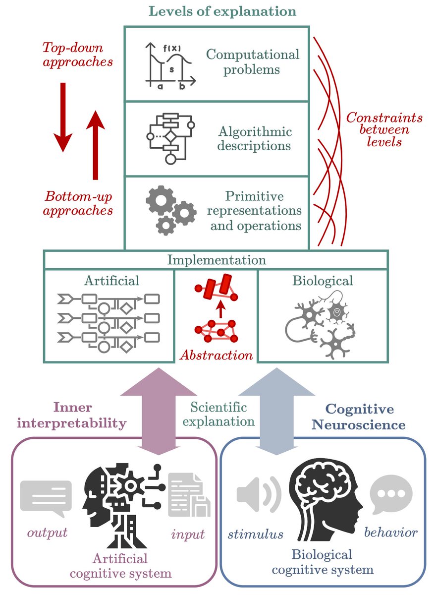 martinagvilas's tweet image. New position paper accepted at #ICML2024!
💻🧠 "An Inner Interpretability Framework for AI Inspired by Lessons from Cognitive Neuroscience"
We show how many of the problems/discussions in the AI Inner Interpretability field are similar to those in Cognitive Neuroscience (1/2)