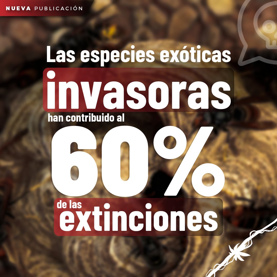 🌎#NuevaPublicación | Las especies exóticas invasoras son uno de los principales impulsores de la actual pérdida global de la biodiversidad, que afecta negativamente a las personas y a la naturaleza en todas regiones de la Tierra.  inabio.biodiversidad.gob.ec/2024/06/07/las…