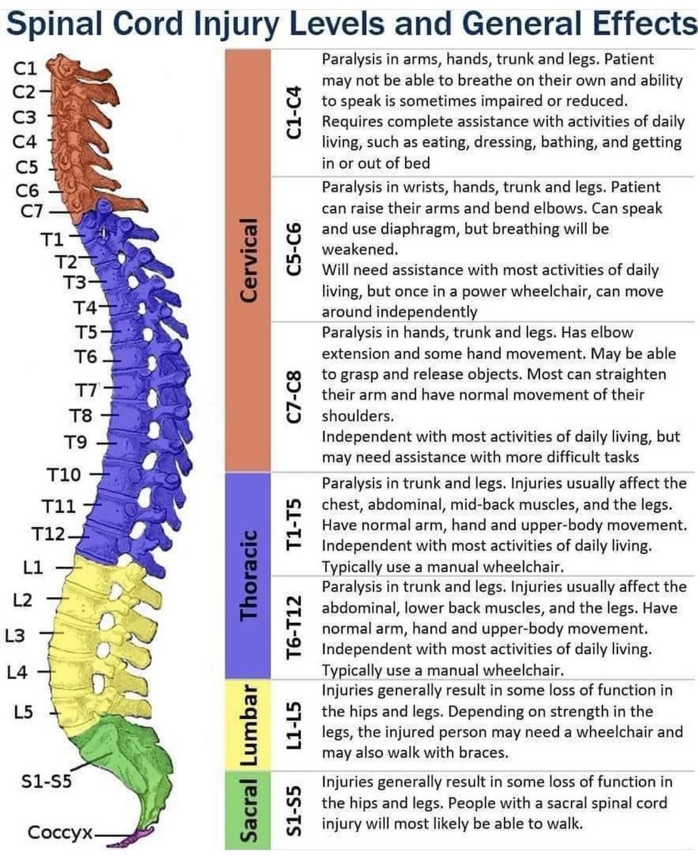 OGdukeneurosurg's tweet photo. Spinal cord and nerve injuries https://t.co/moCG1wQNQa