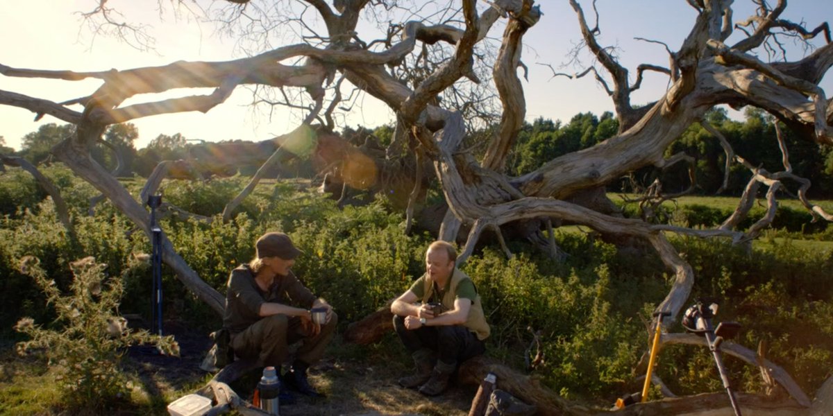 Once you've watched Detectorists, you just have to tell everyone about your discovery.
A bit like Howard Carter 😆
<a href="/NetflixUK/">Netflix UK & Ireland</a> <a href="/BBCiPlayer/">BBC iPlayer</a>
#Detectorists