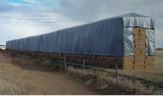TarpsNow1's tweet photo. If you grow or store hay bales, you know the issues that the weather causes. Hay Tarps are an ideal way to protect your crop. See our recent guide on Hay Tarp Use - https://t.co/iLu7ESNwoT
#HayTarps #HeavyDutyTarps #WaterproofTarps #PolyTarps #HayBaleProtection #PremiumHayTarps https://t.co/mgi6KZCbU1