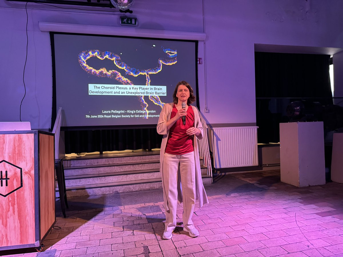 Laurent Nguyen tweet media