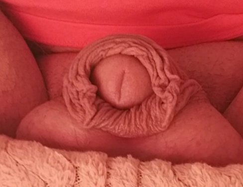 devilbear69's tweet photo. Foreskin Friday https://t.co/KCBCctqCIa
