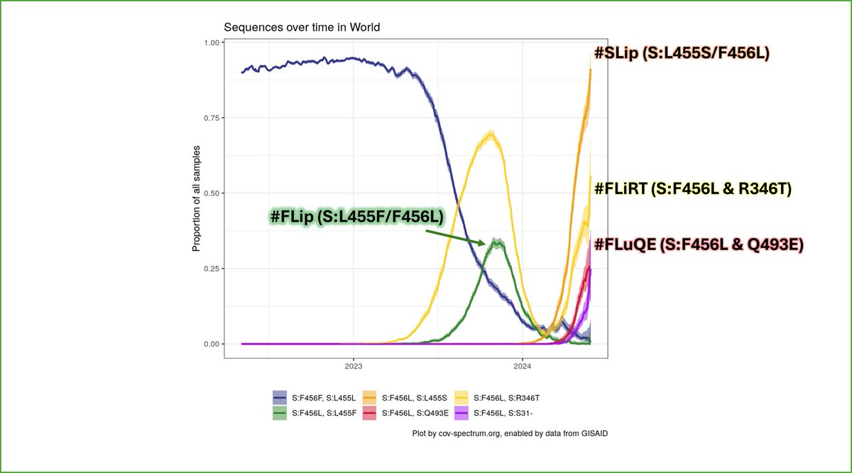 RajlabN's tweet photo. #SARSCoV2 lineages

How #VariantHunters nickname convergent combo mutations?

 [OG Amino acid single letter code] [Mutation single letter code] (optional spacer(s) -vowel) followed by the codes for the next mutation.

For example: Spike F456L &amp; R346T combo: #FLiRT 

1/n https://t.co/wEOjpiST1R