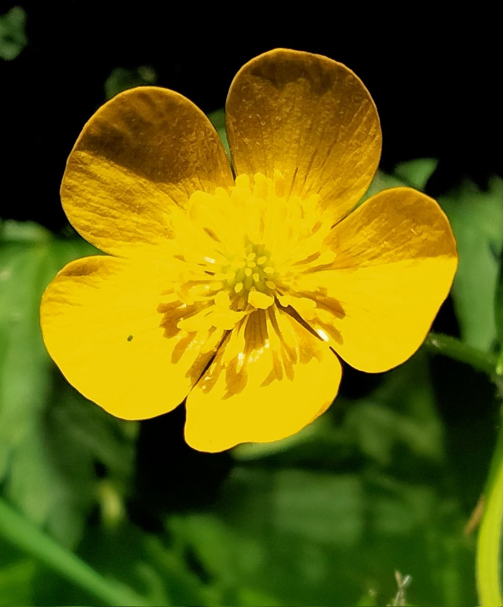 Old Man Kirky 🏴󠁧󠁢󠁷󠁬󠁳󠁿 tweet media