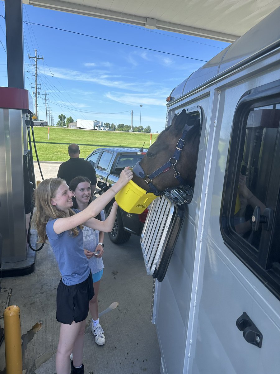 AmandaGeaney's tweet photo. Stopping for fuel and refreshments on the way to Mill Creek. π #HighJinxShinx #eventing #eventinghorse https://t.co/xwxZ9jyjXJ