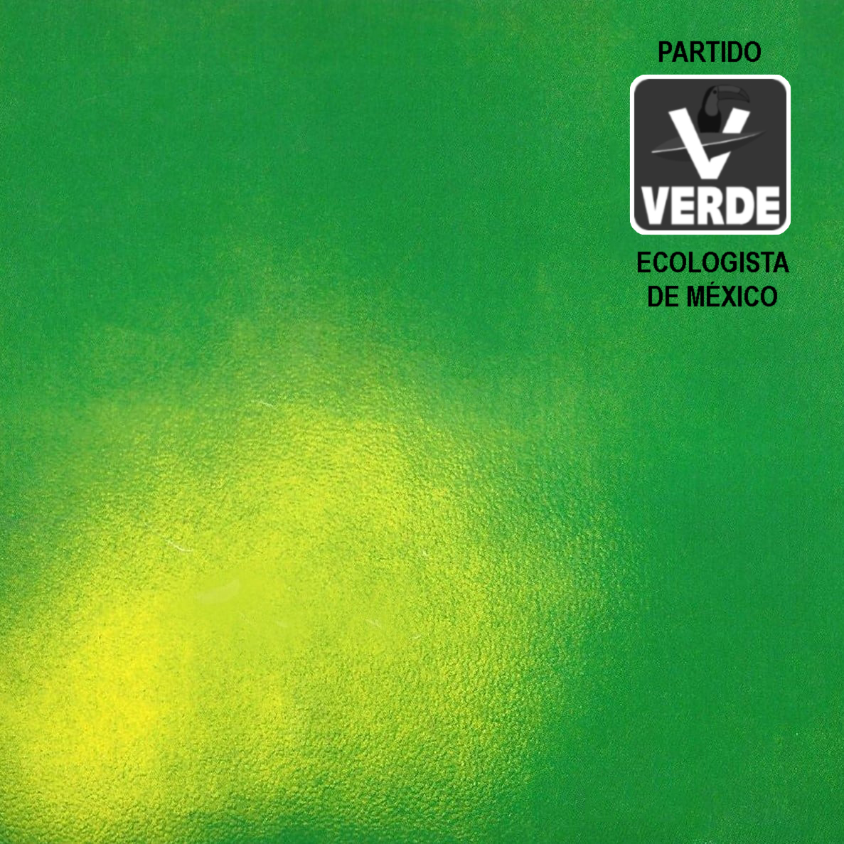 pagusrendon's tweet photo. ¿Mi disco favorito? No creo que lo conozcas. https://t.co/ct9aZAu9Dh
