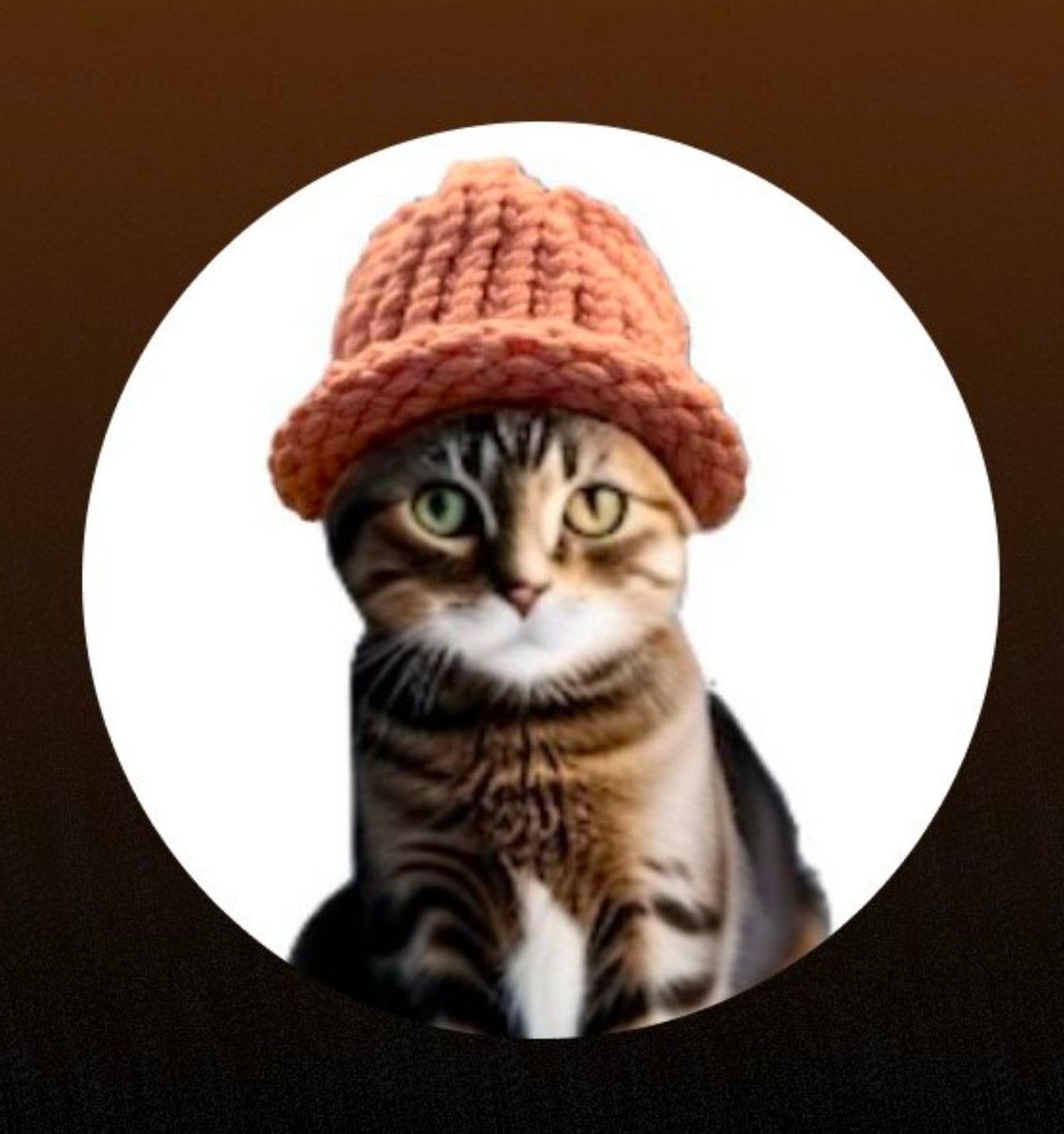 Aleks Vondra tweet media