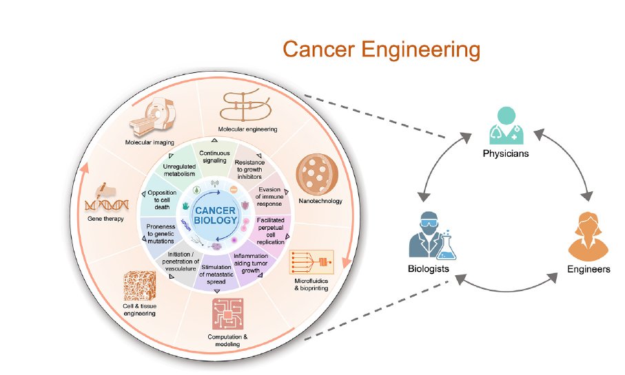 DrYukselUrun's tweet image. Engineering focusing on cancer!
🔴Cancer engineering is an emerging subfield of biomedical engineering that unifies engineering and cancer biology to better understand, diagnose, and treat cancer.
@CellPressNews @OncoAlert 
doi.org/10.1016/j.ccel…