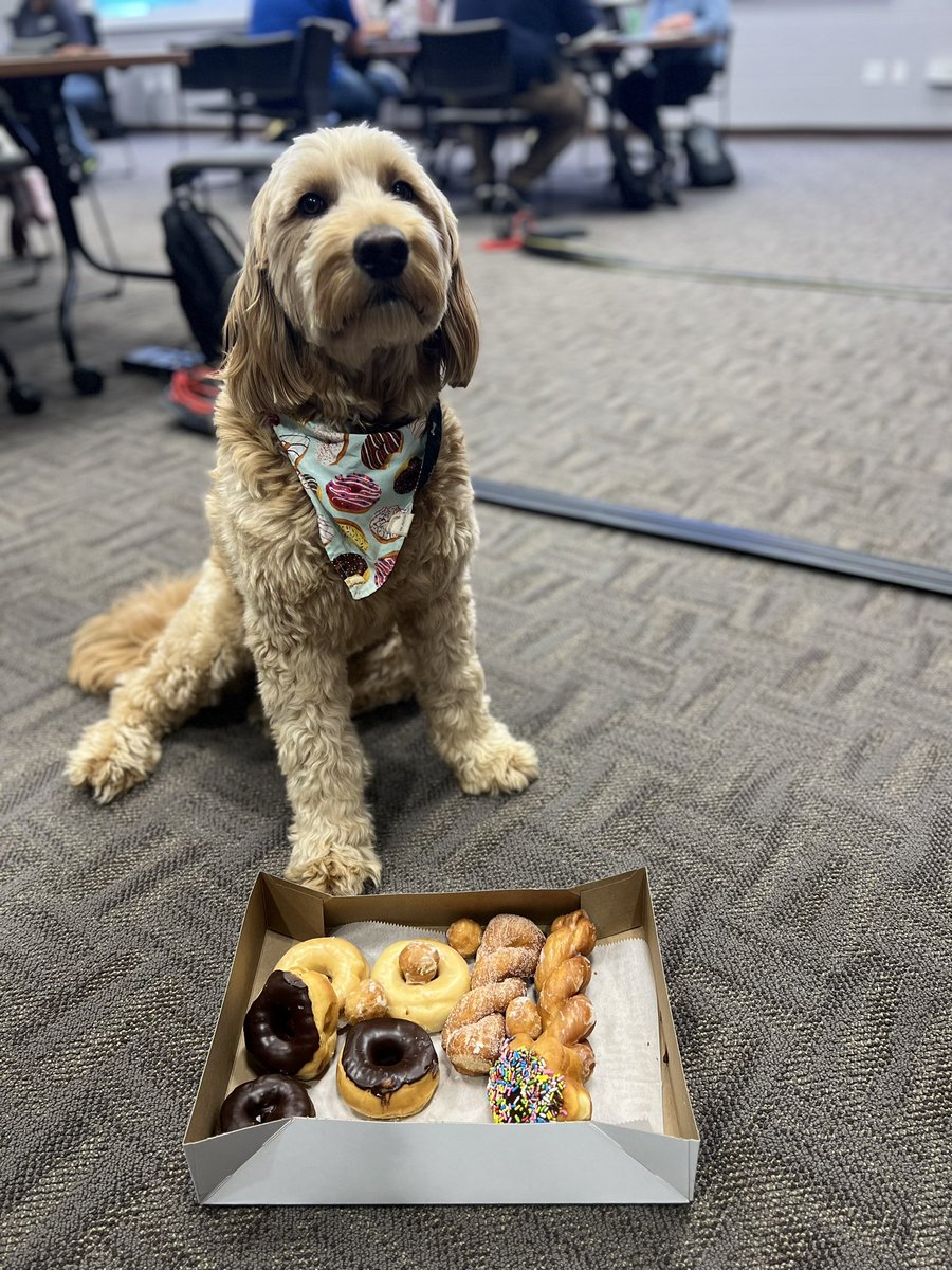 ConnollyComms's tweet photo. Happy #NationalDonutDay from Cash “Dollarbill”! It’s one of his favorite days 😍 🍩, he’s lucky enough to celebrate it with his favorite doods… 🚔🚓 https://t.co/tK7NtVJU9u