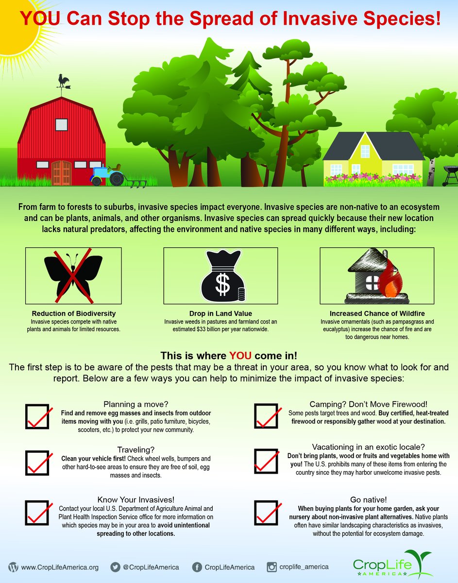 CropLifeAmerica's tweet photo. From farms to forests to suburbs, #invasivespecies can spread quickly because their new environment lacks natural predators, affecting the environment &amp; native species in many ways. https://t.co/szQJsaY3mu