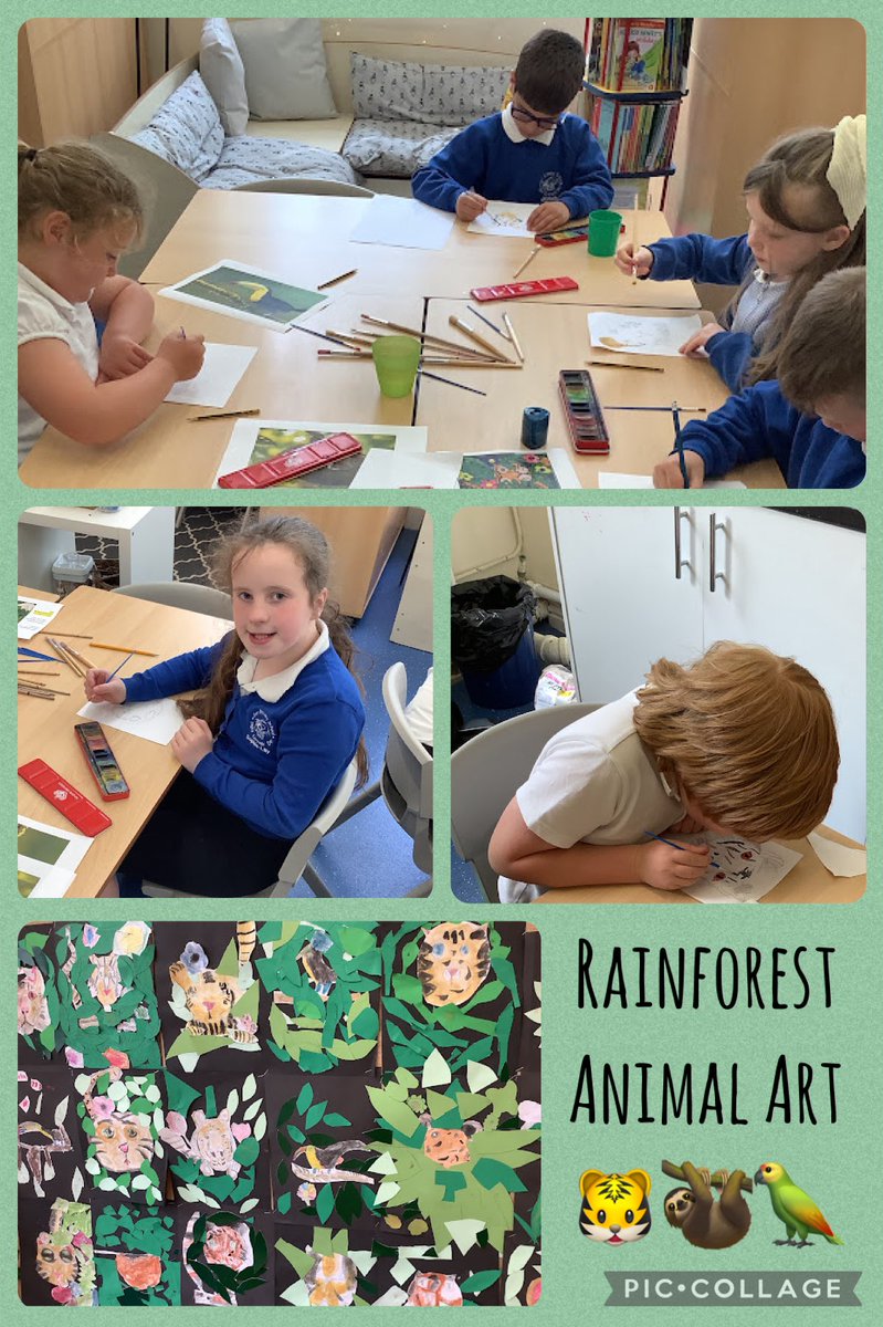 Busy afternoon in Dosbarth Dau! Fantastic rainforest animal art!!🐯