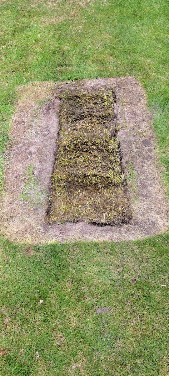 mo sharkey tweet media