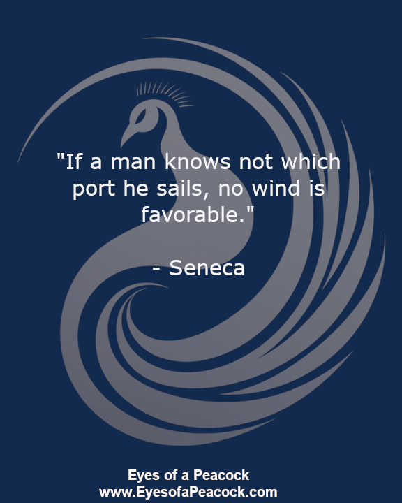 Without clear goals or direction, no external help or effort will be effective.

#FridayMotivation #MotivationalQuotes #BeHappy #LiveYourOwnLife #lifestyle #InspirationalQuotes #stoicism #motivation #seneca