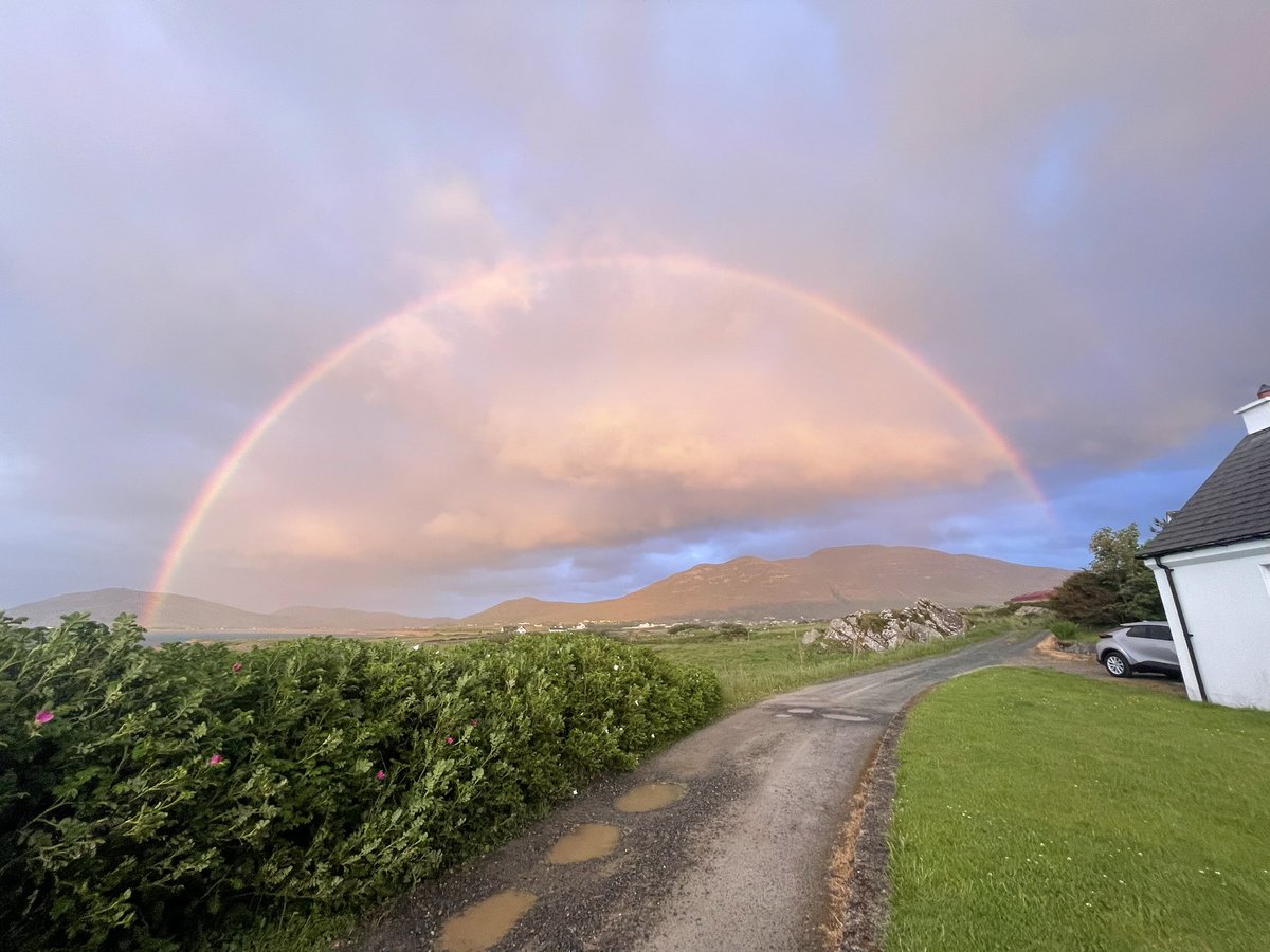 Chris Hamilton tweet media