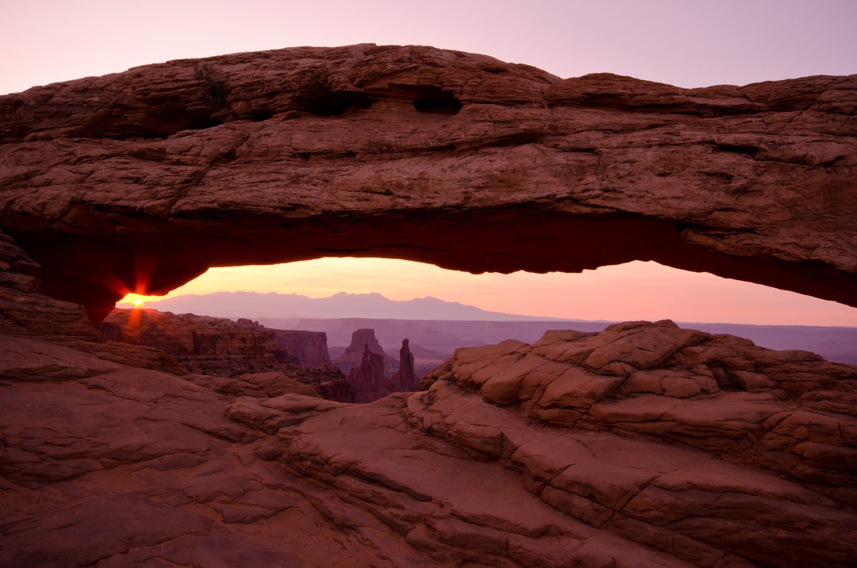 Ankit Singla tweet media