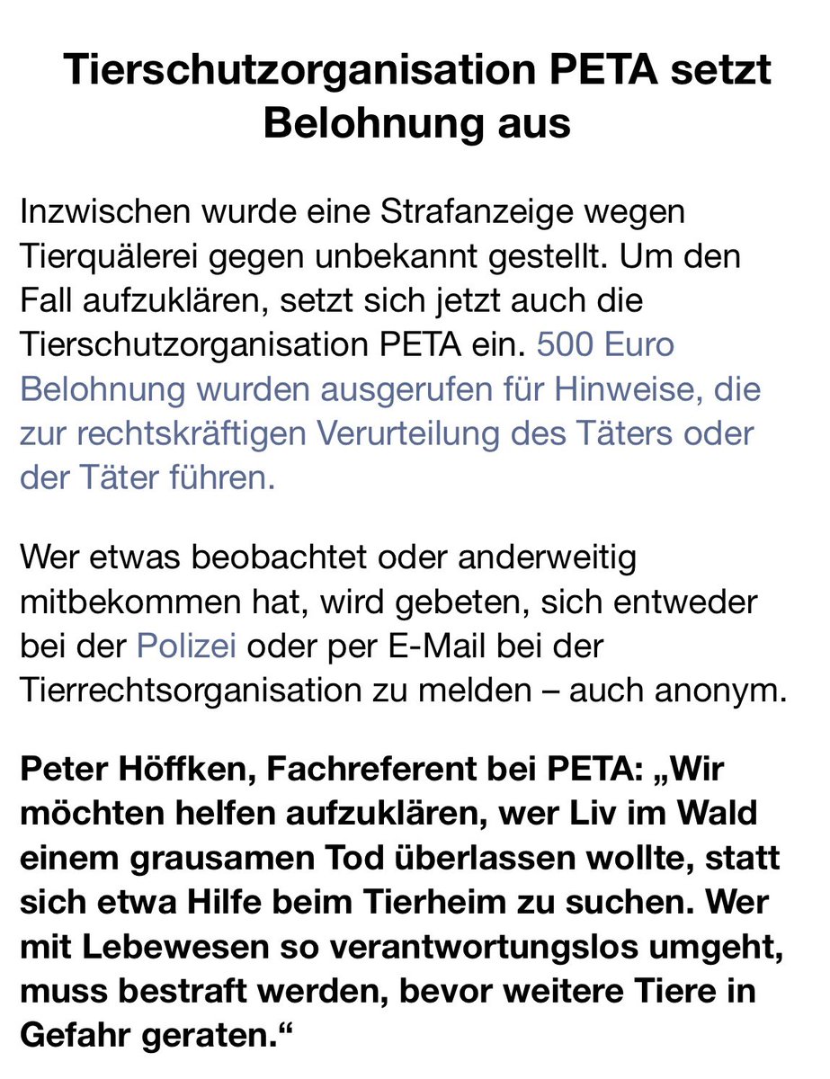 Anabel Schunke tweet media