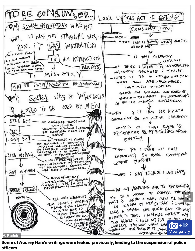 AriDrennen's tweet photo. The Daily Mail just posted something that it claims is the Nashville Shooter's "manifesto."

It's actually a deleted 2018 sketch from actress and model Hunter Schafer's Instagram.

Be very careful with reporting about this - there are lots of hoaxes going around. https://t.co/lrMez92raR
