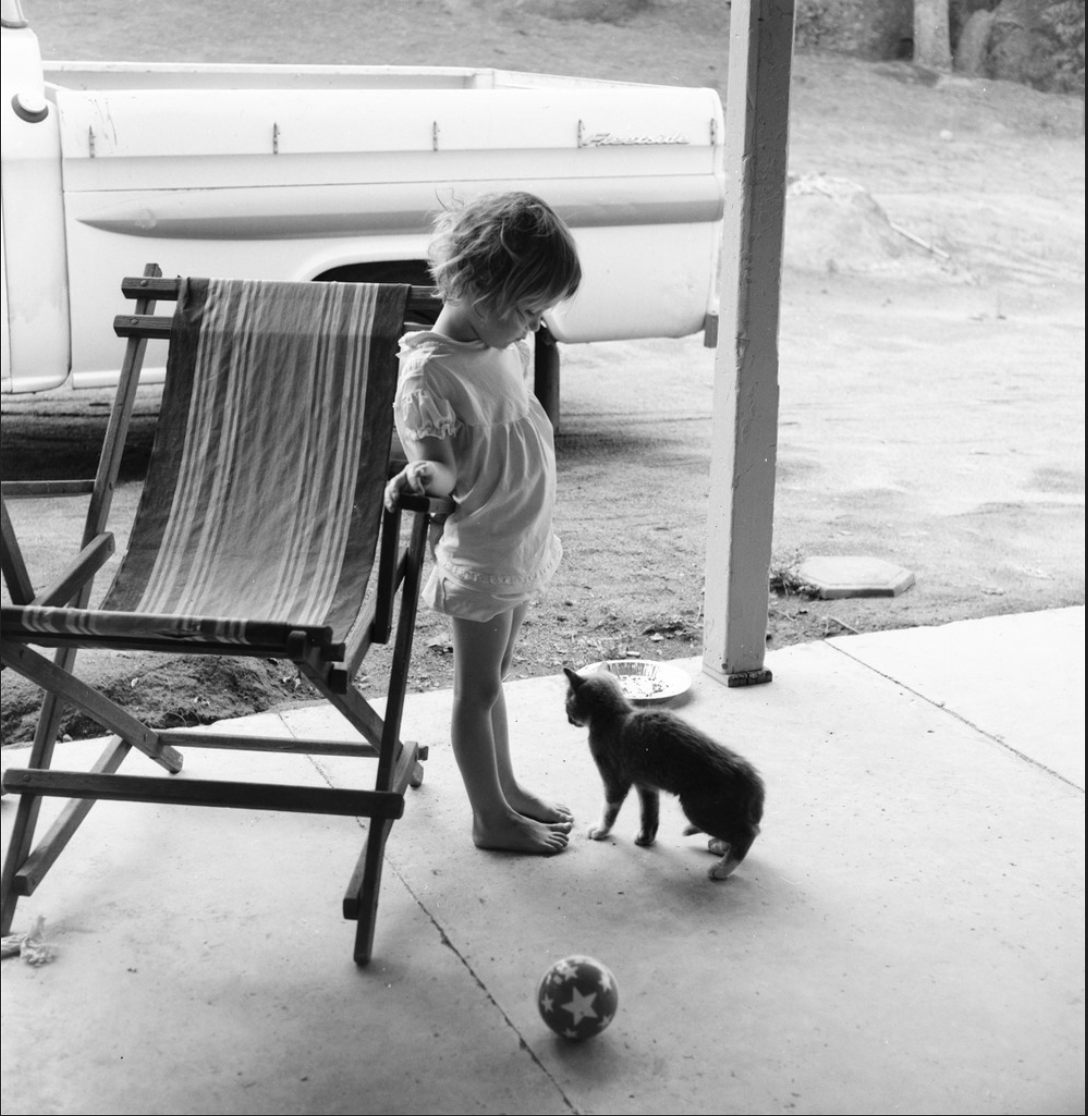 ucmercedlib's tweet image. Farm pets lead different lives from their suburban counterparts. As a 1960s farm dog in Teviston, CA, you may be sharing your cozy doghouse with a calf. #UCMercedLibrary's Ernest Lowe Photography Collection documents SJV farm communities.

#ArchivesPets #ArchivesHashtagParty