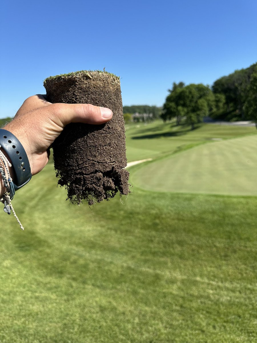 JT Hauser tweet media