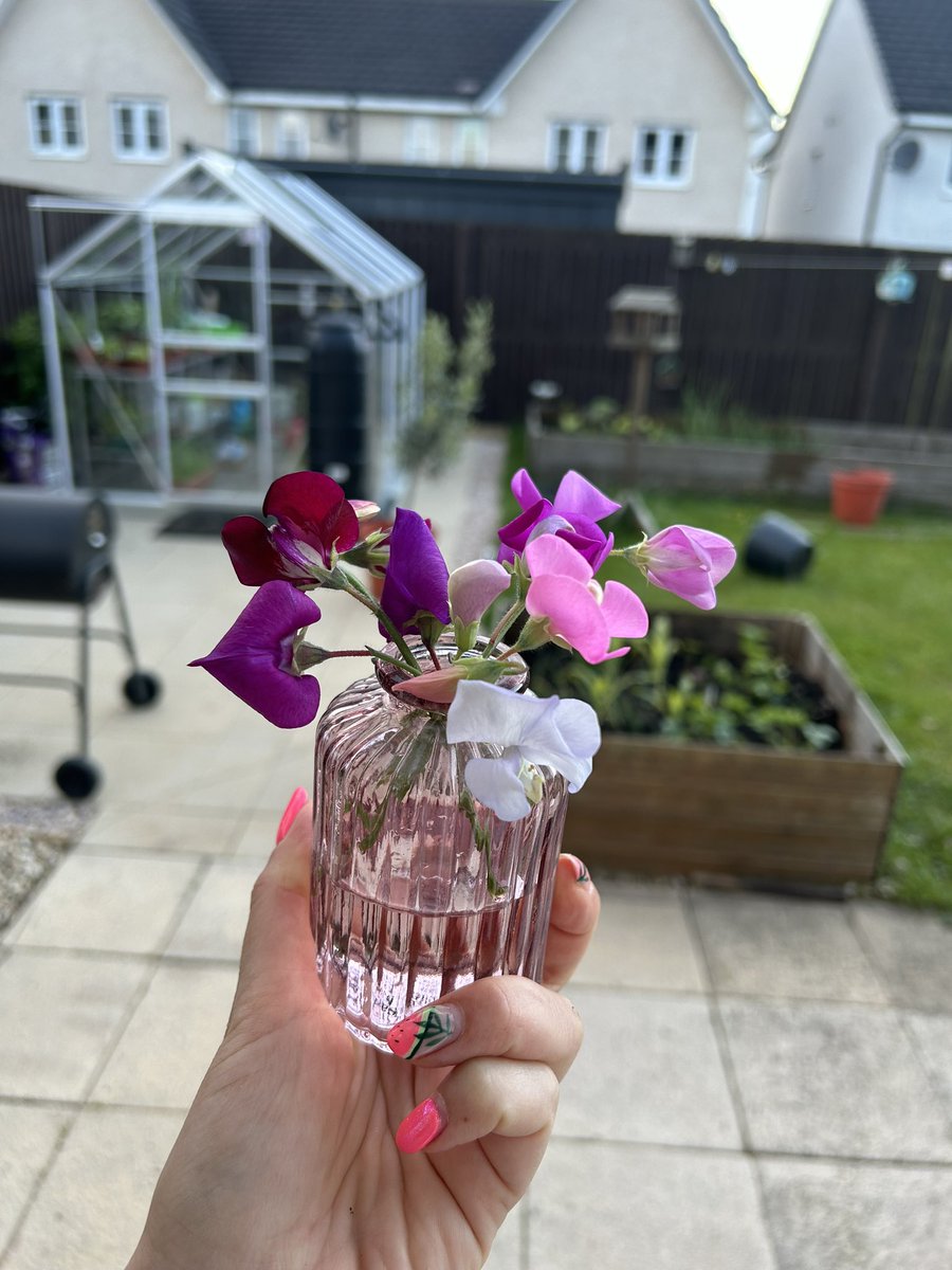 First ever home grown vase of flowers, so proud 🥹 
#gardengoals #homegrown
#gardening 
#myscottishgarden
#scottishgarden #sweetpeas