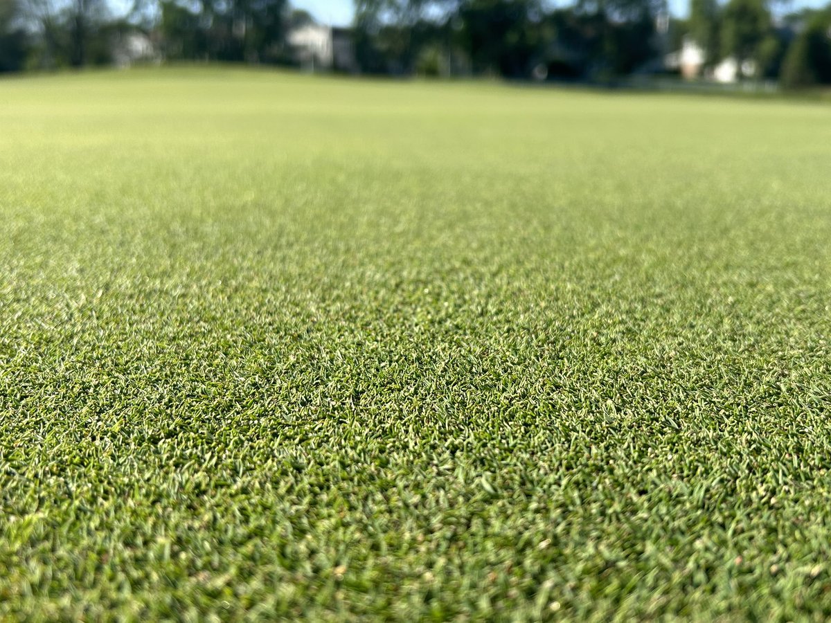 jd_turf's tweet photo. Very happy with how our putting surfaces are progressing this season. https://t.co/0GWezUWRnV