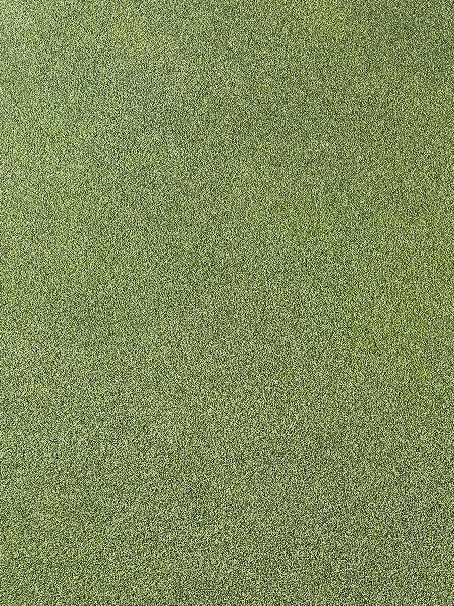 jd_turf's tweet photo. Very happy with how our putting surfaces are progressing this season. https://t.co/0GWezUWRnV