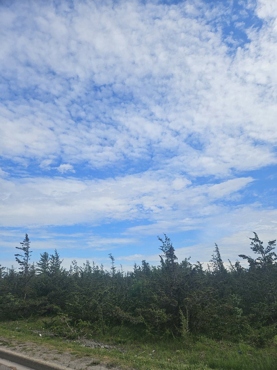 Lightning in the distance.  The sky on the left looks menacing. 

#YGK #onstorm