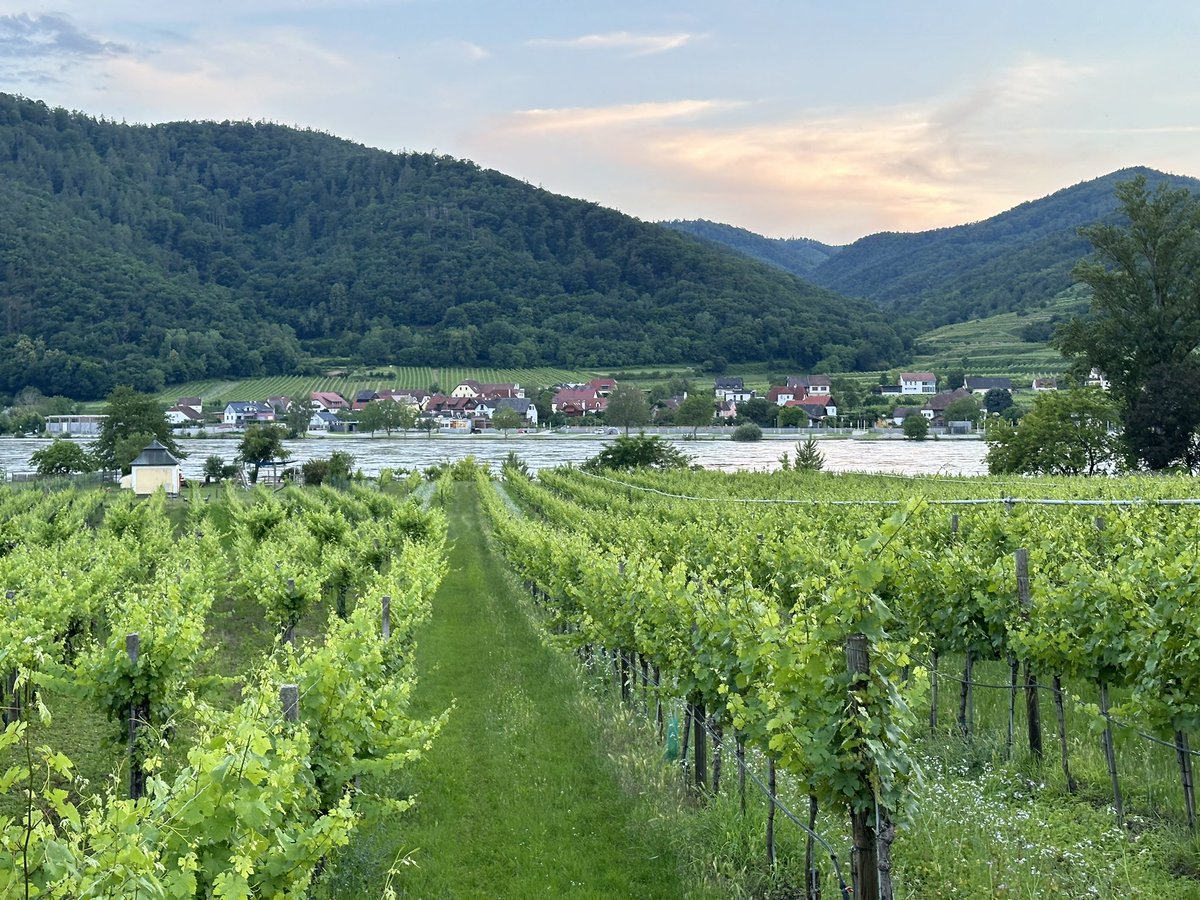 akhtarb1's tweet image. Quick trip to #Durnstein with Dr. Ehsan Sadiq DG NPB.