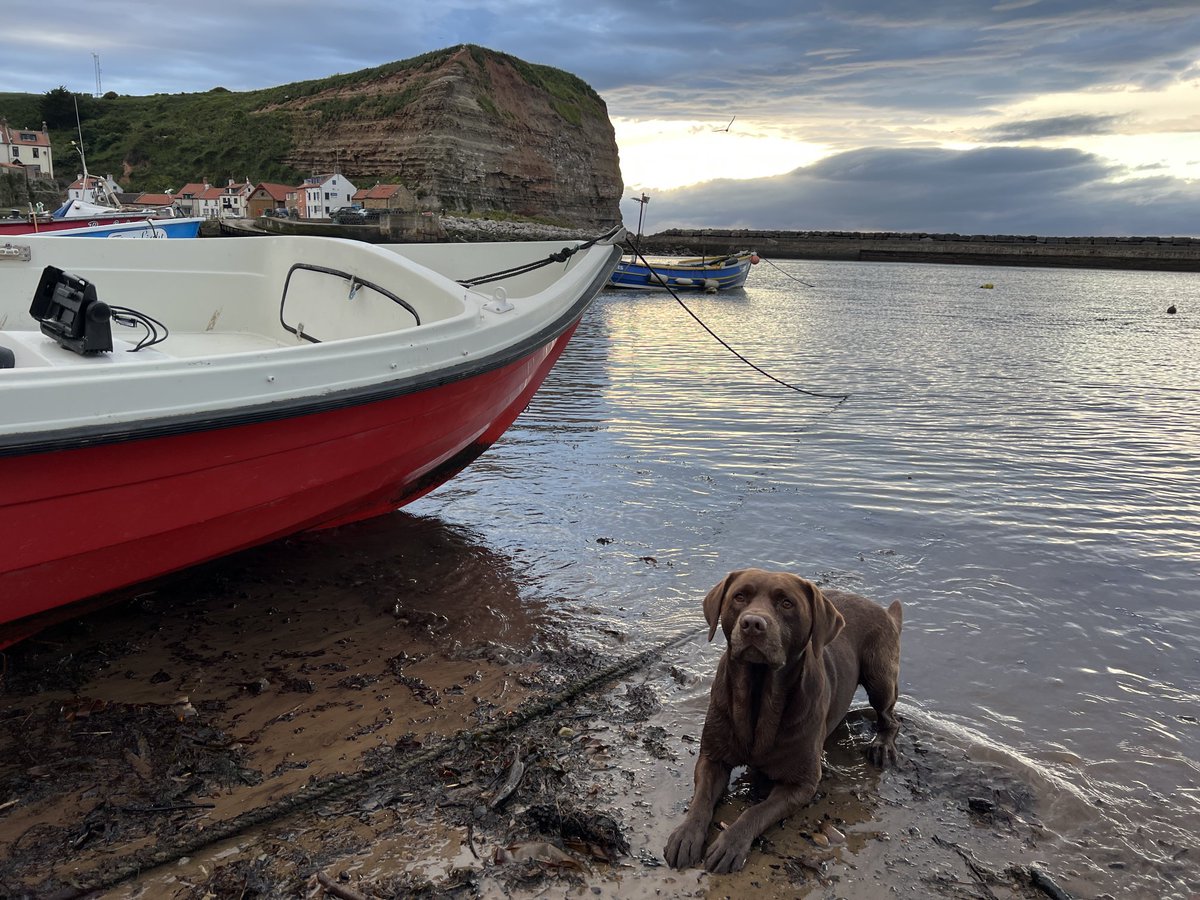 hawley_caroline's tweet image. And relax…. after a super busy week consigning amazing lots for #hawleys #August auction Good night all from a beautiful evening in #Staithes