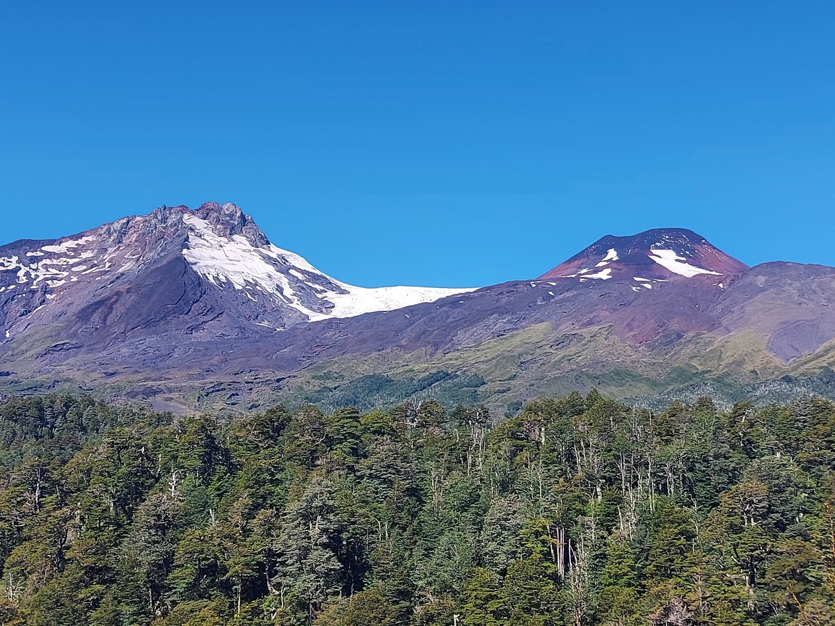 Pablo Moreno-Yaeger tweet media