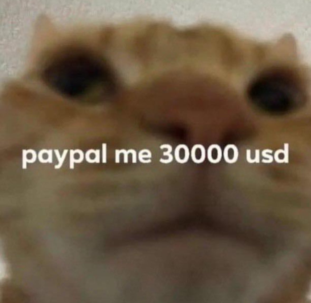 literallymecats's tweet photo. https://t.co/sdOJ19Gk9F