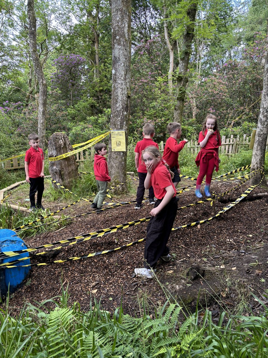3Halfmerke's tweet photo. An excellent day at Kelburn Country Park. Children were all amazing. So much fun in the sun 🌞. https://t.co/1fVJMQfKEf