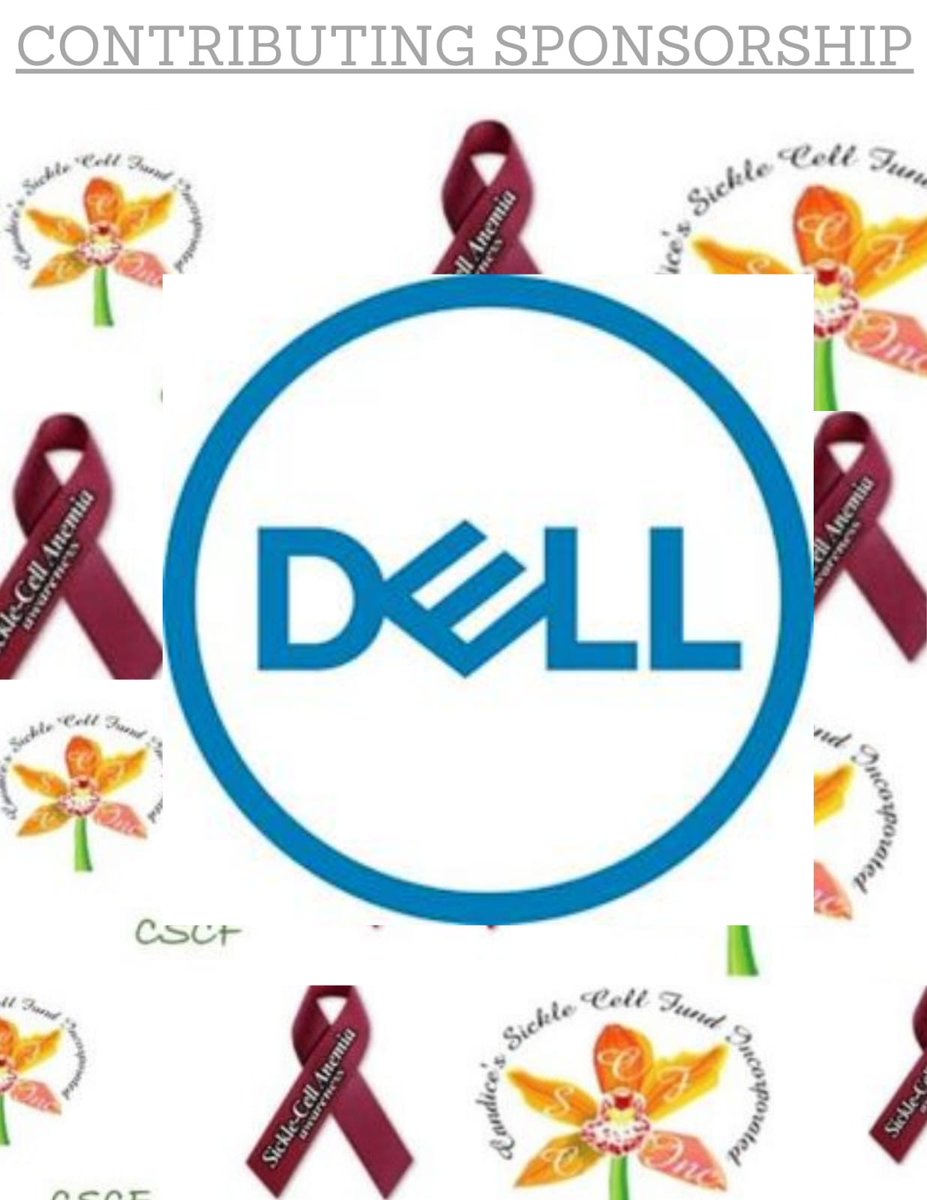 CSCFInc's tweet image. Thank you to our 2024 Scholarship Boat Ride Sponsors 🙏🏽 Part 1