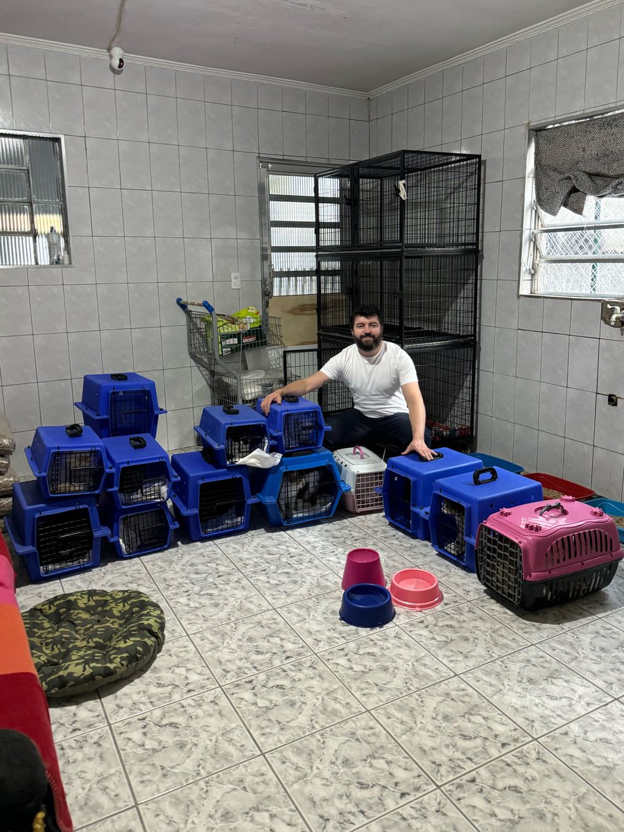 casadoviralata's tweet photo. Hoje recolhemos 21 gatos que viviam em uma casa sem comida, infestados de pulga,l numa situação complicada, agora chegaram em nosso gatil, terá o melhor alimento, cuidados médicos e a chance de serem adotados

Se puder nos ajudar saiba como nas respostas dessa publicação. https://t.co/Qzvuo8NStN